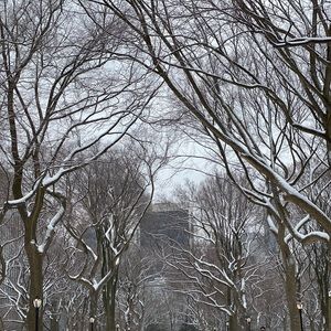 Meet your Posher, Hyorim